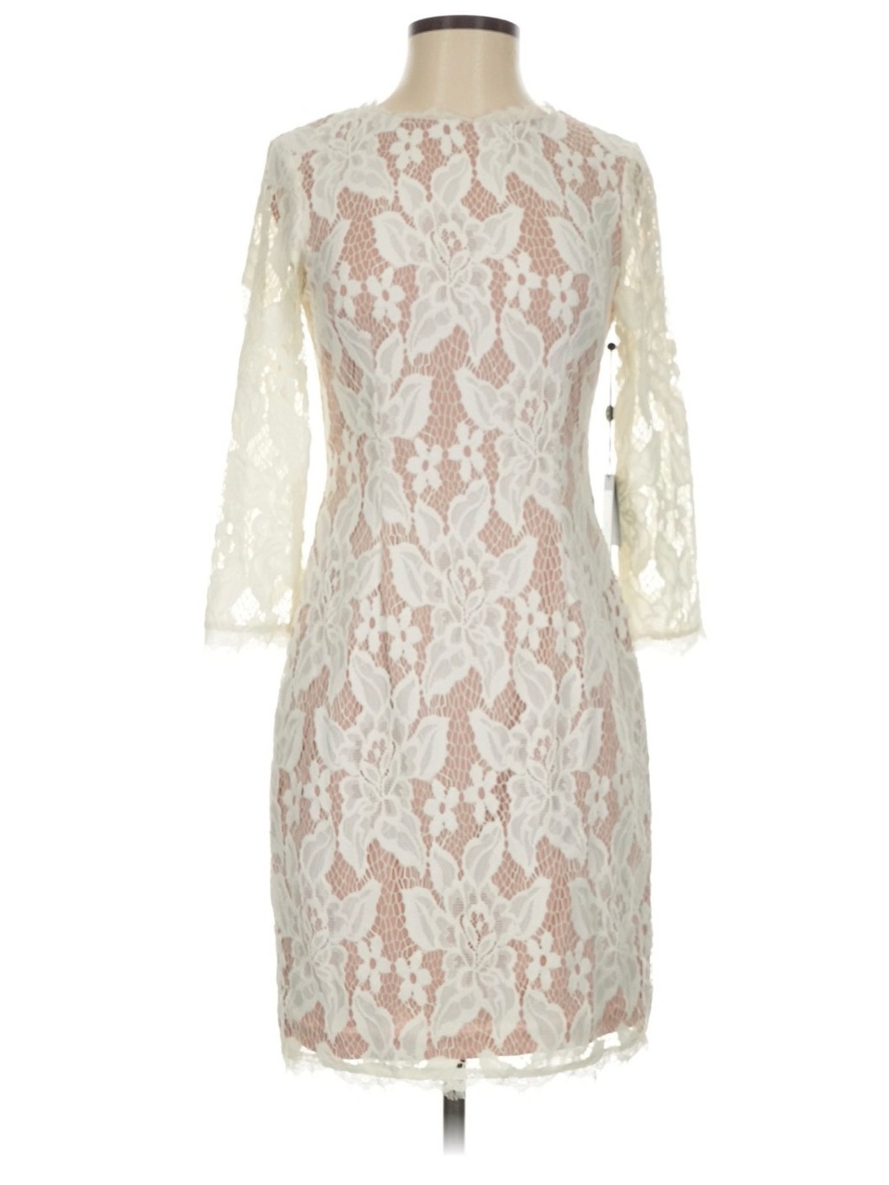 Adrianna Papell Ivory Lace Sheath Dress with Nude Lining